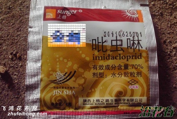 月季花常见病用药