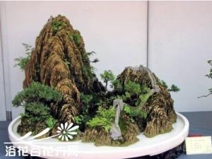 漫谈山水盆景的新款式 洞窗要适当的大些