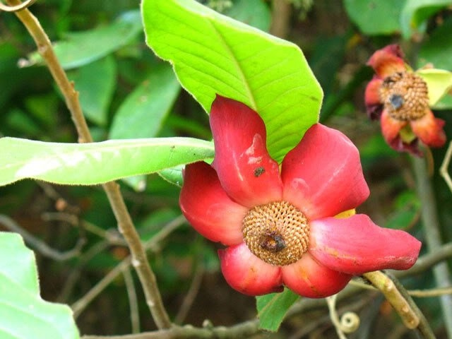 ��������ͼƬ