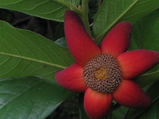 ��������ͼƬ