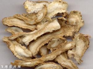 当归如何吃出健康 介绍八款当归的吃法