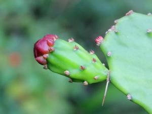 ���������ģ�600��,500��,400��,300�֣�