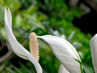 һ����˳������