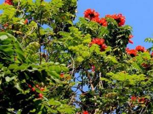 ����������ֳ������ע������