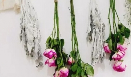 哪些花可以做干花 哪些花可以做干花