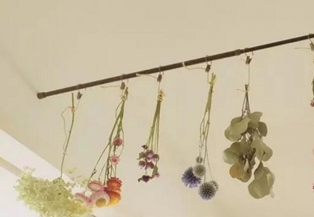 哪些花可以做干花 哪些花可以做干花