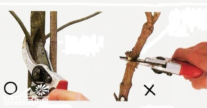 ޼ϸͼģ