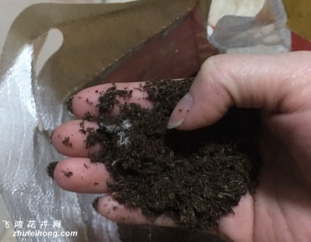 进口泥炭