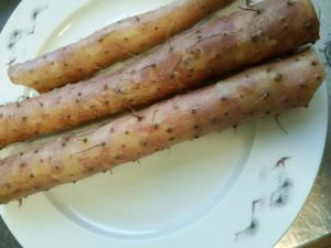 山药和牛蒡的区别（图片）